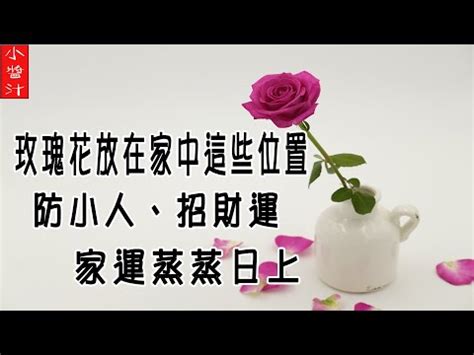 玫瑰 風水